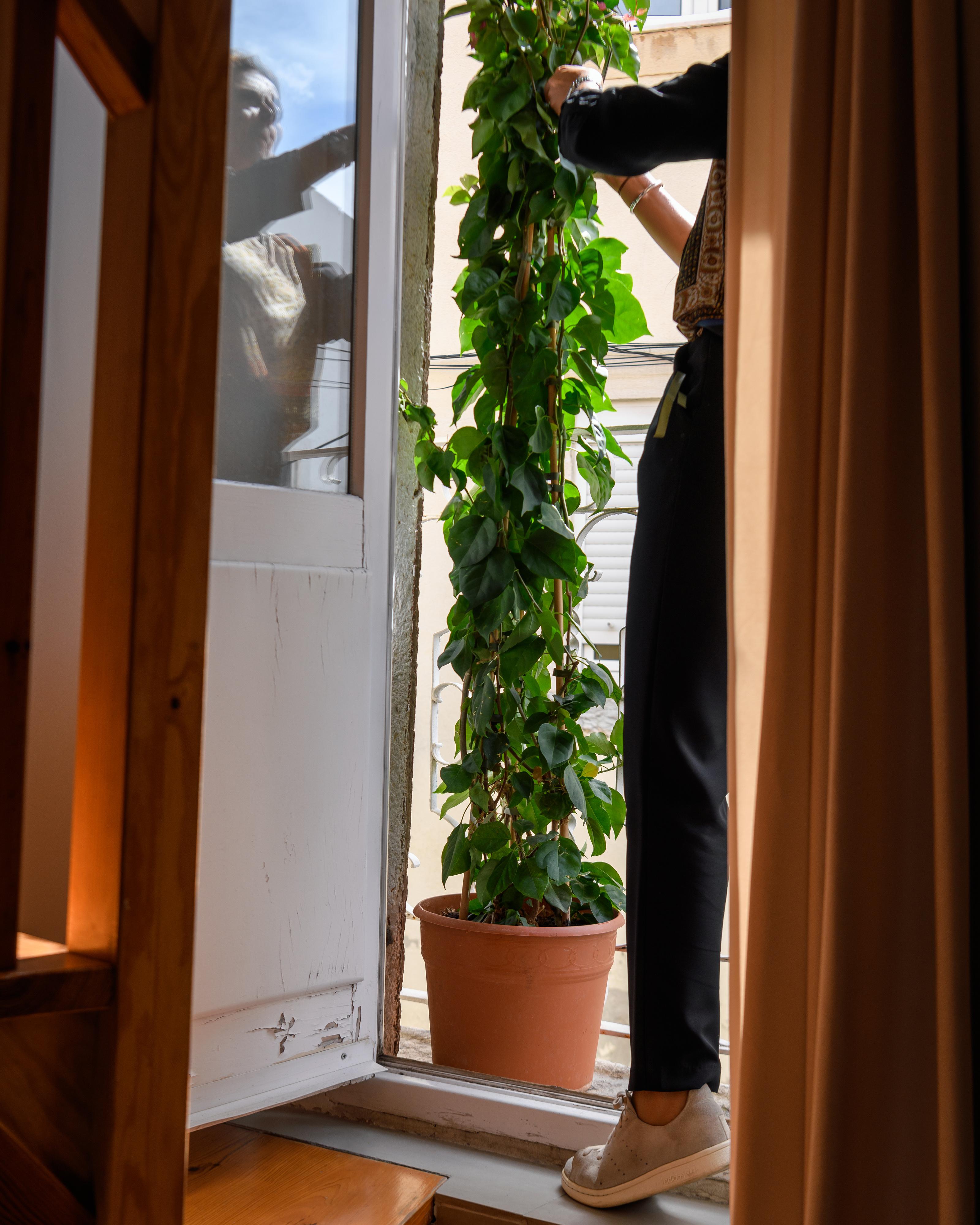 Alfama Yellow House Lisboa المظهر الخارجي الصورة